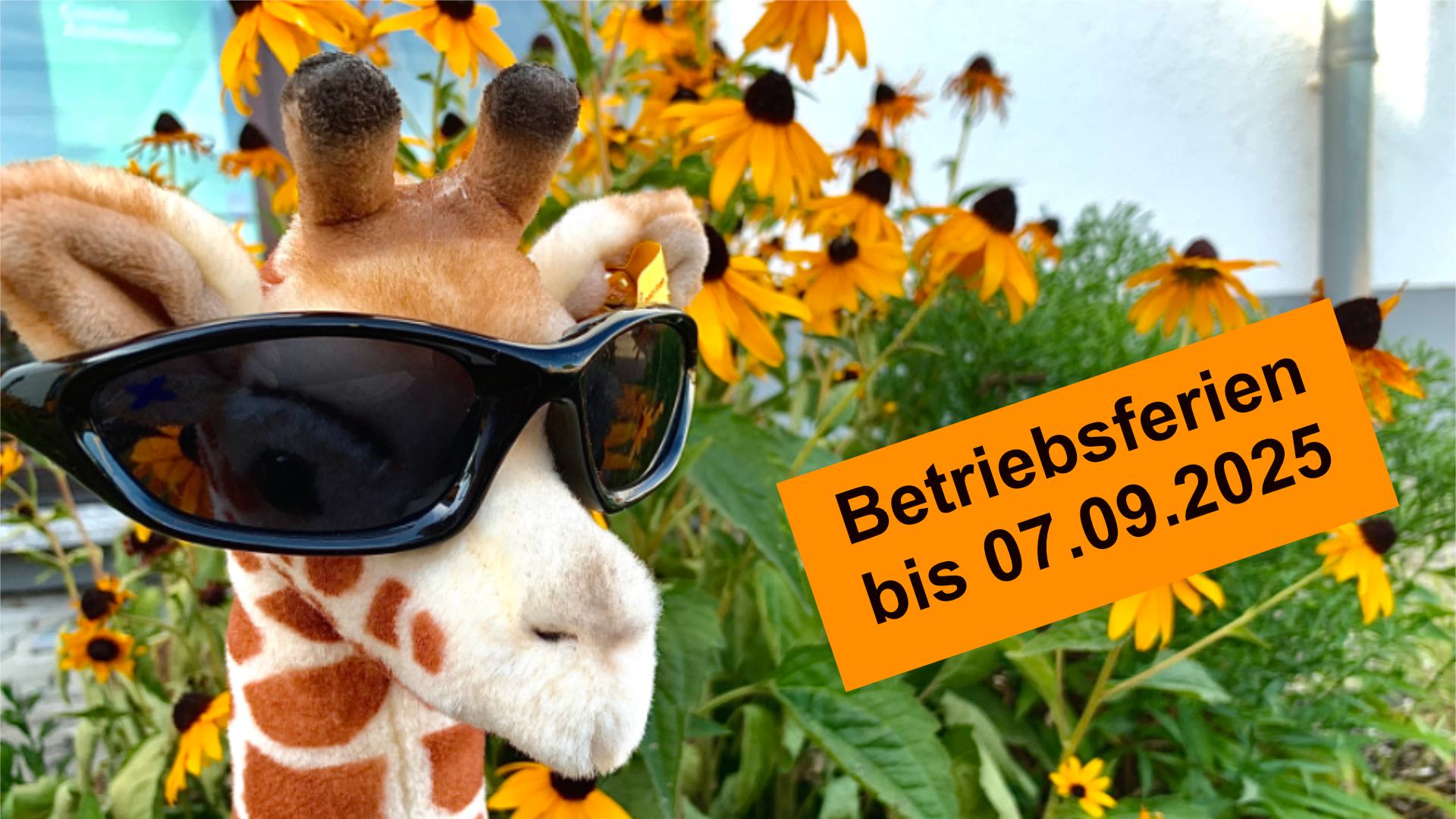 Sommerferien 2025